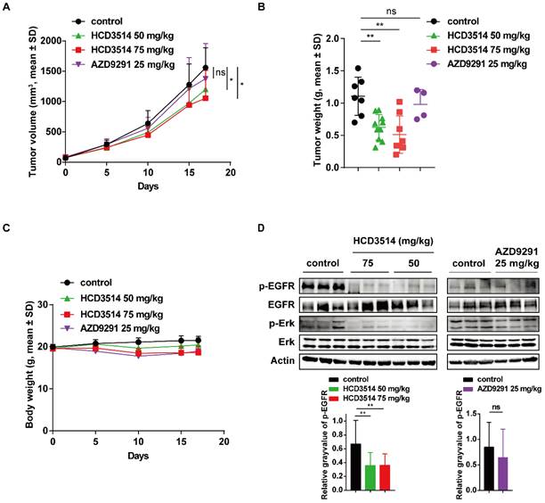 J Cancer Image