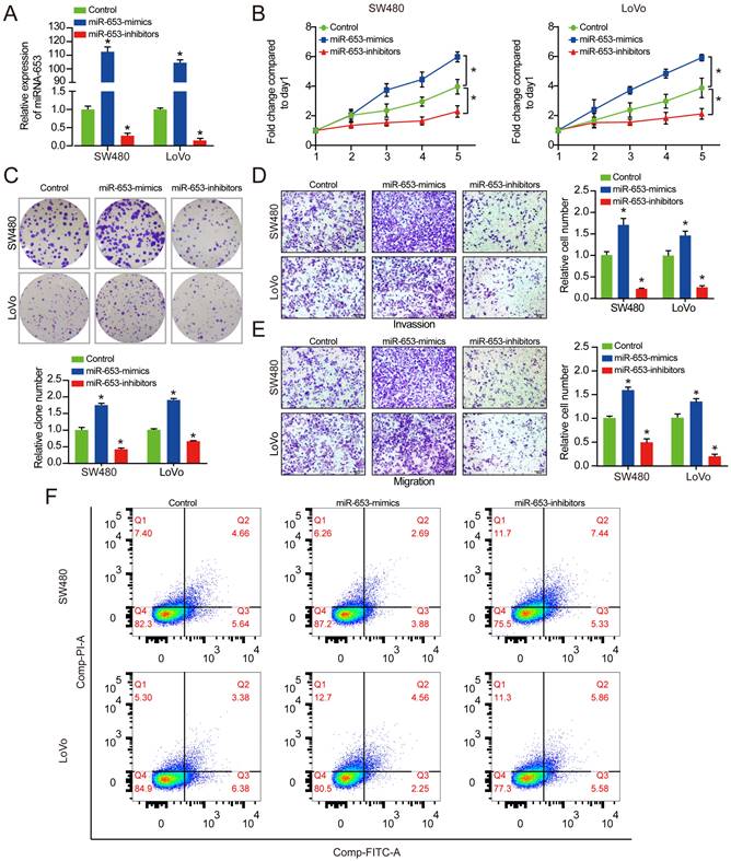 J Cancer Image