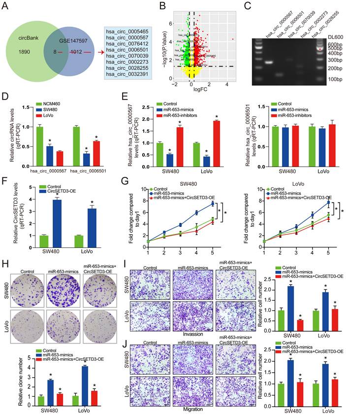 J Cancer Image