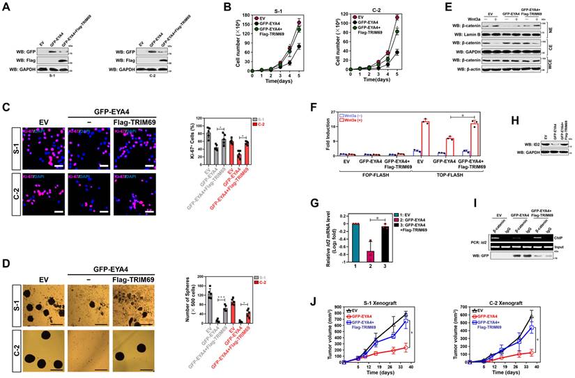 J Cancer Image