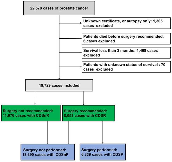 J Cancer Image