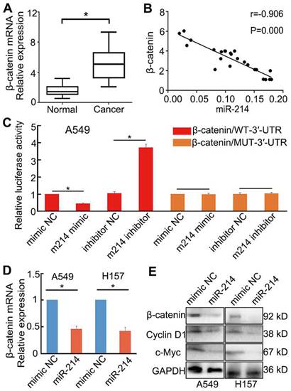 J Cancer Image