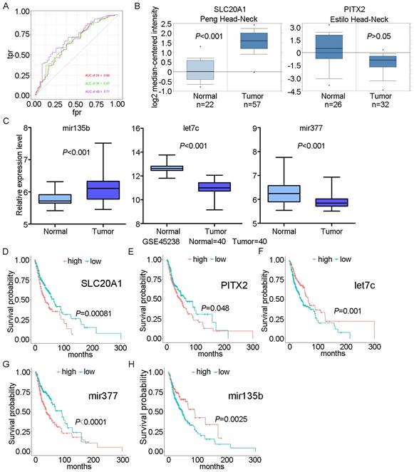 J Cancer Image