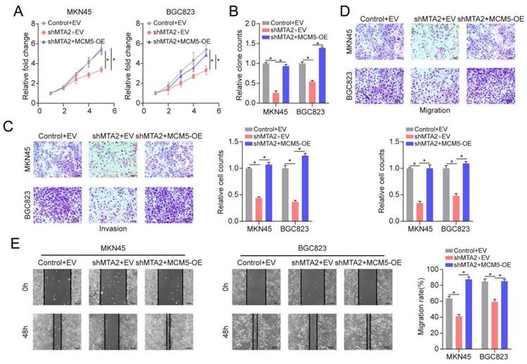 J Cancer Image