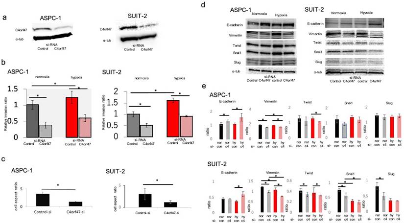 J Cancer Image