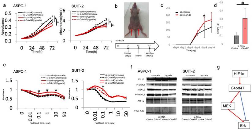 J Cancer Image