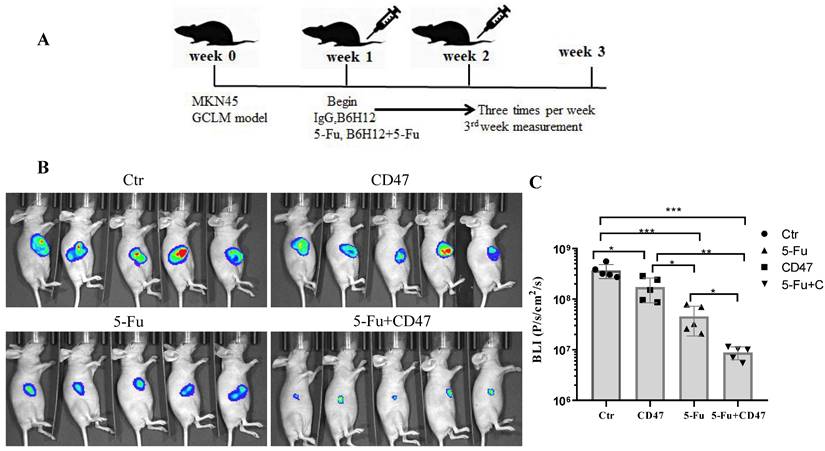 J Cancer Image