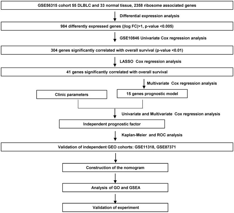 J Cancer Image