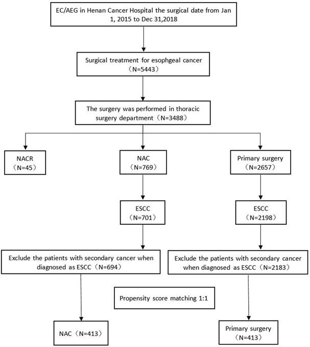 J Cancer Image