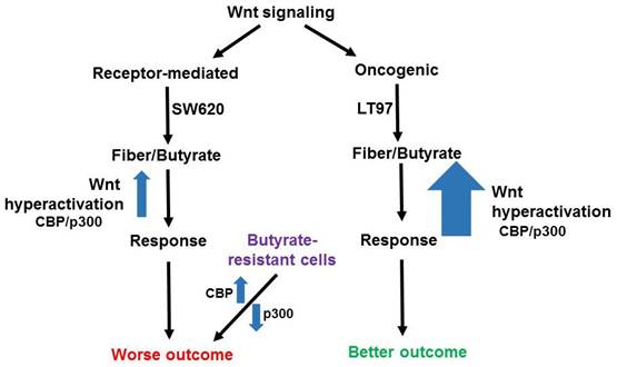 J Cancer Image