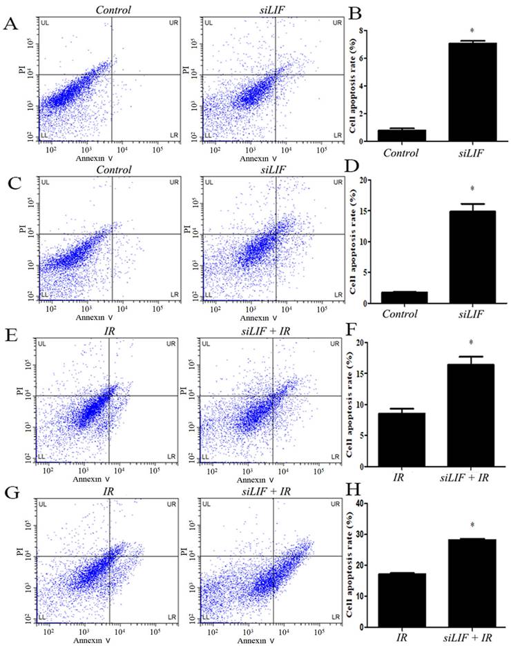 J Cancer Image