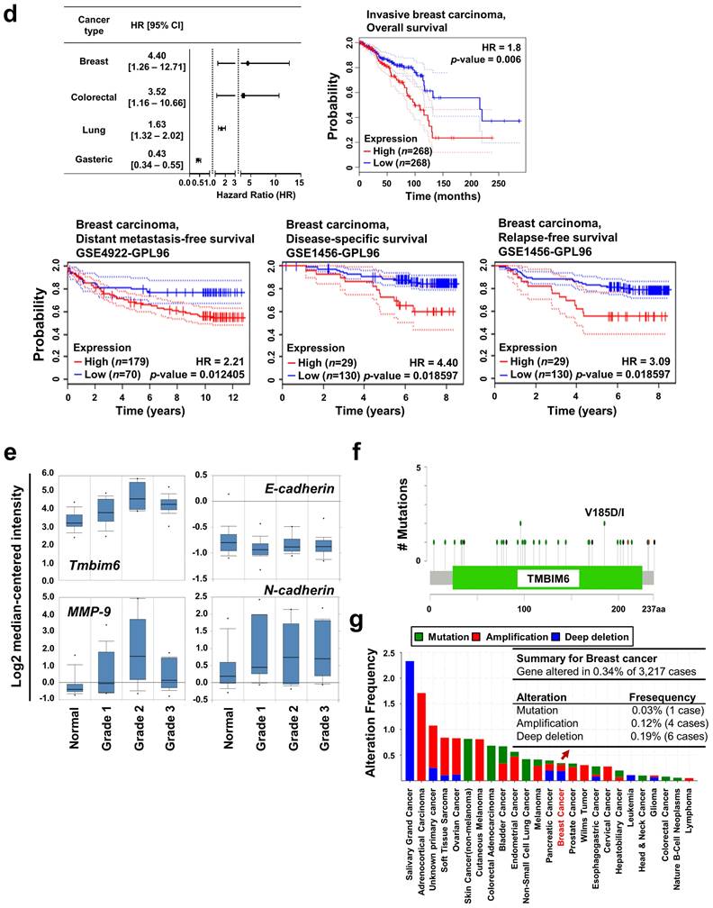 J Cancer Image