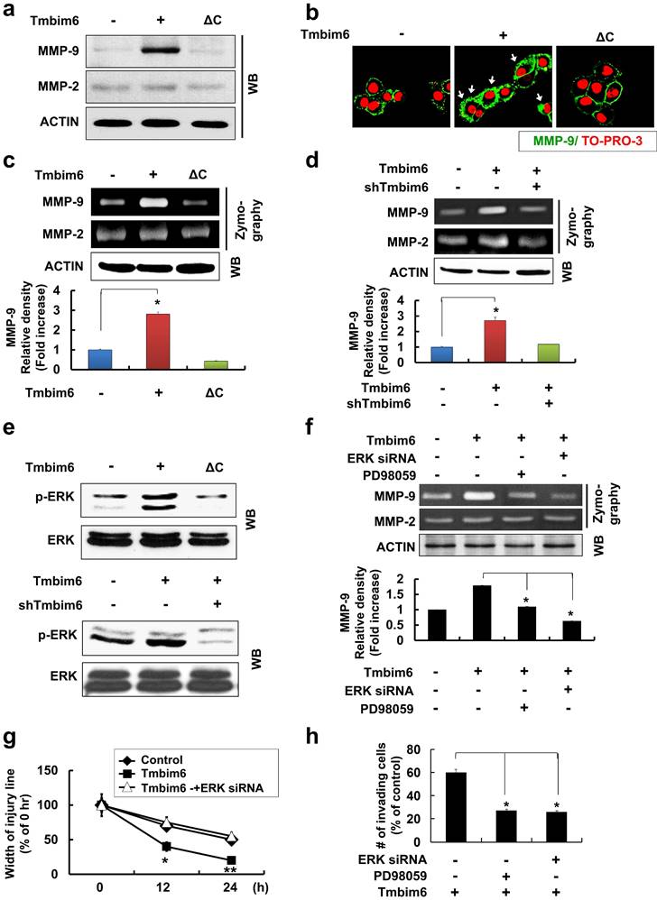 J Cancer Image