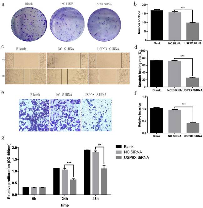 J Cancer Image