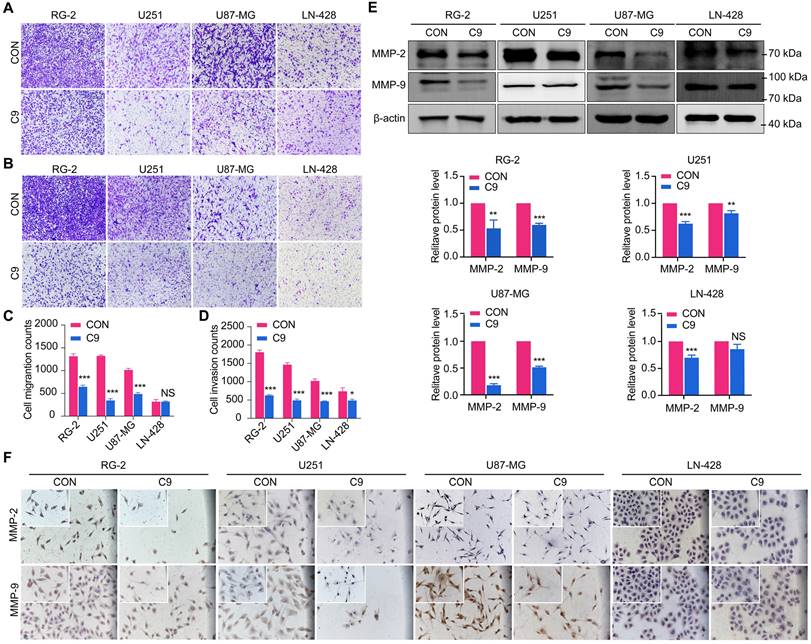 J Cancer Image