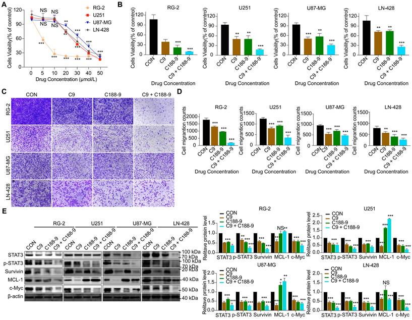 J Cancer Image