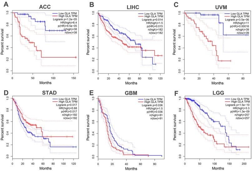 J Cancer Image