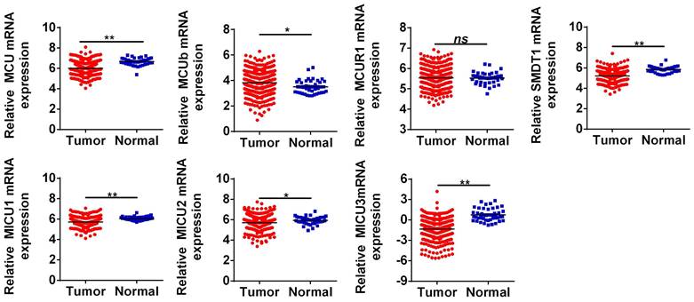 J Cancer Image