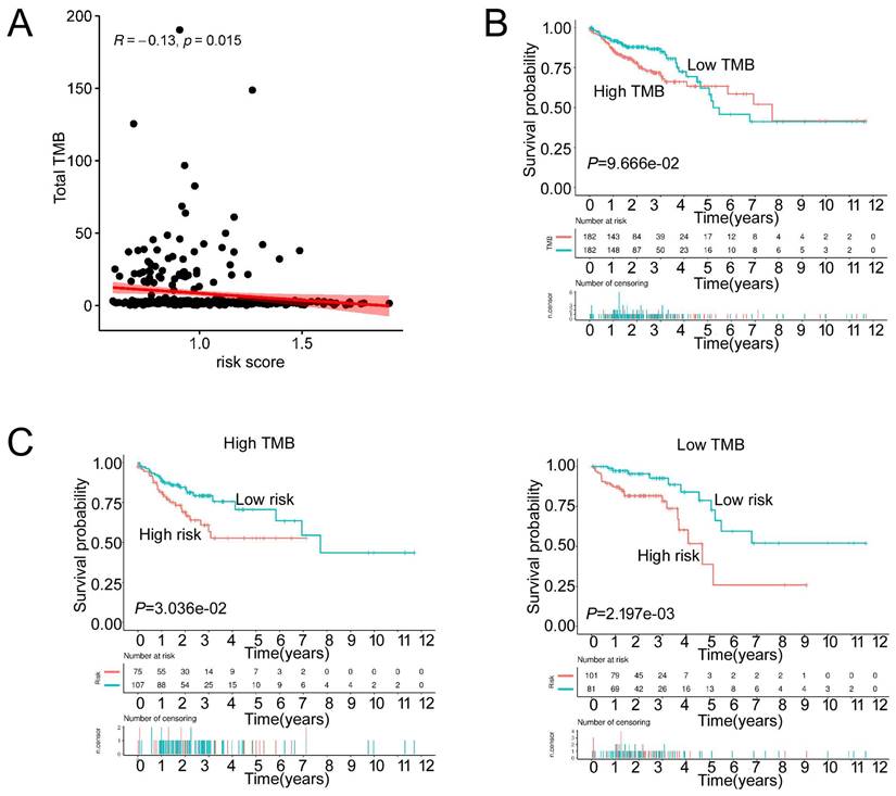 J Cancer Image