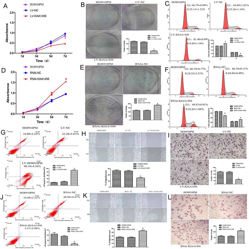 J Cancer Image