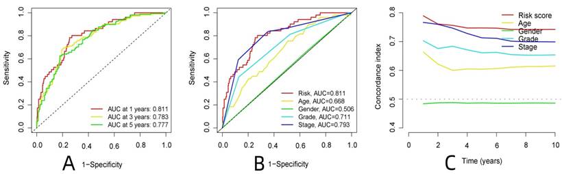 J Cancer Image