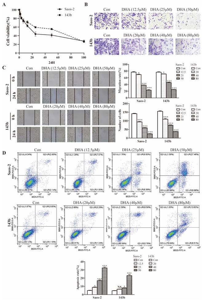 J Cancer Image