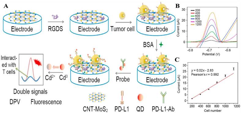 J Cancer Image