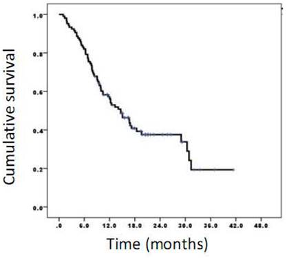 J Cancer Image