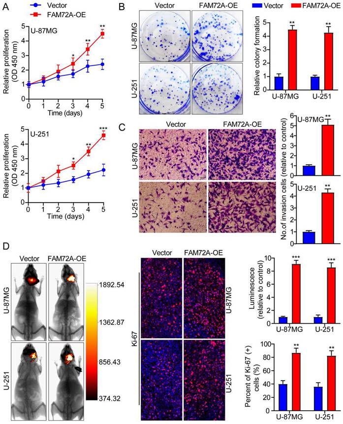 J Cancer Image