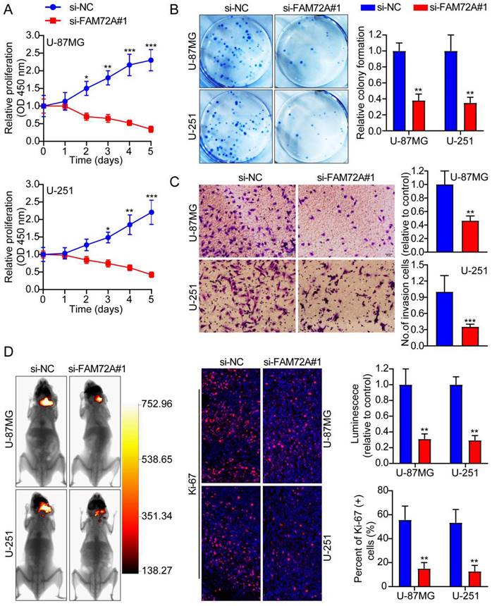 J Cancer Image