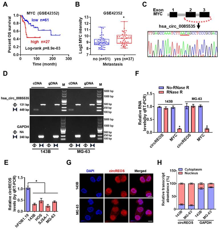 J Cancer Image