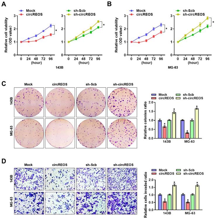 J Cancer Image