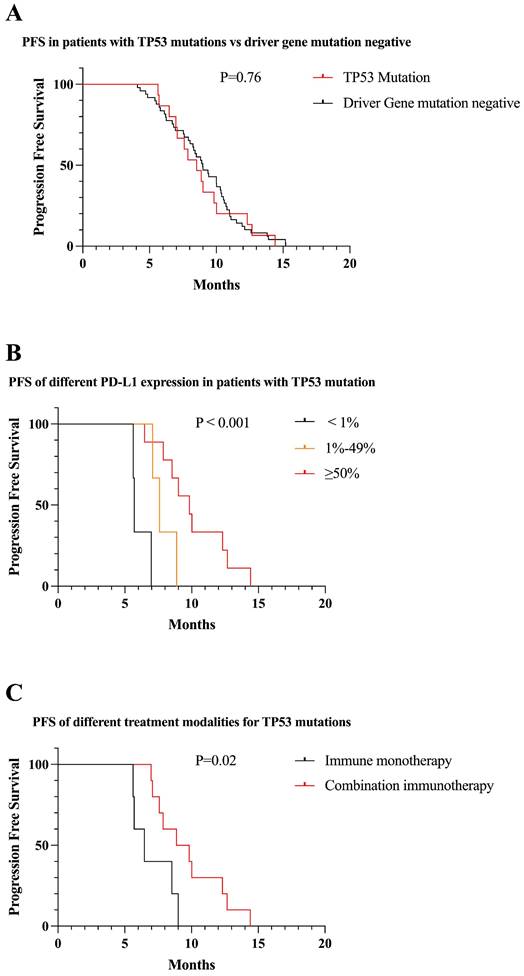 J Cancer Image