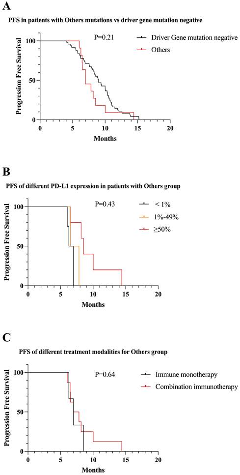 J Cancer Image