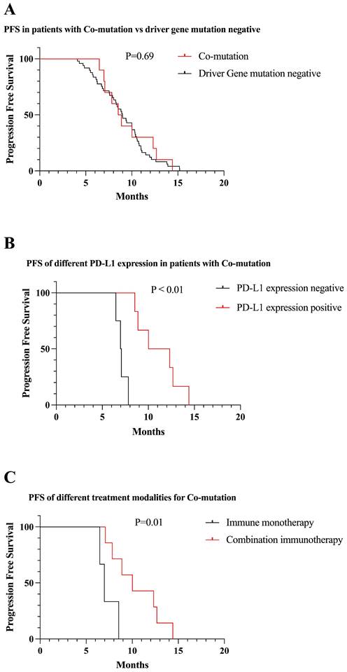 J Cancer Image