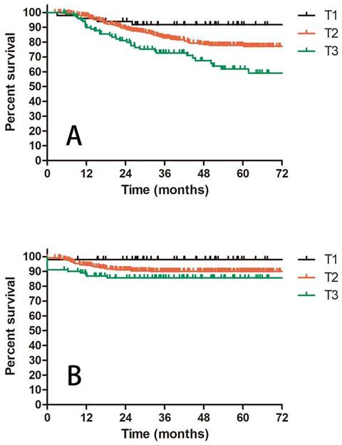 J Cancer Image