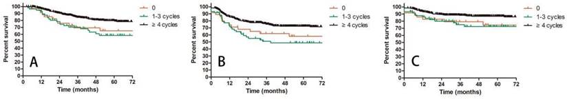 J Cancer Image