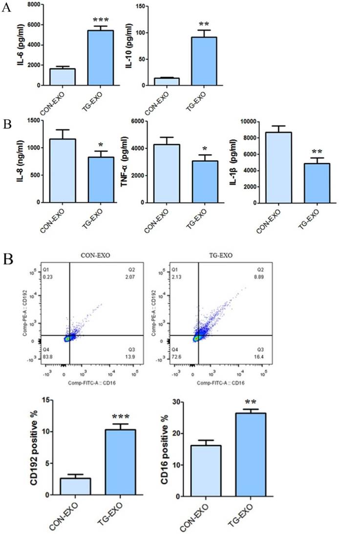 J Cancer Image