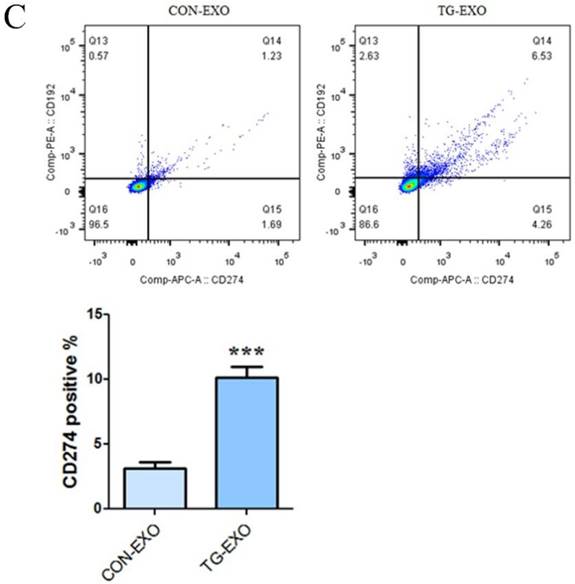 J Cancer Image