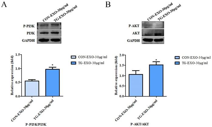 J Cancer Image