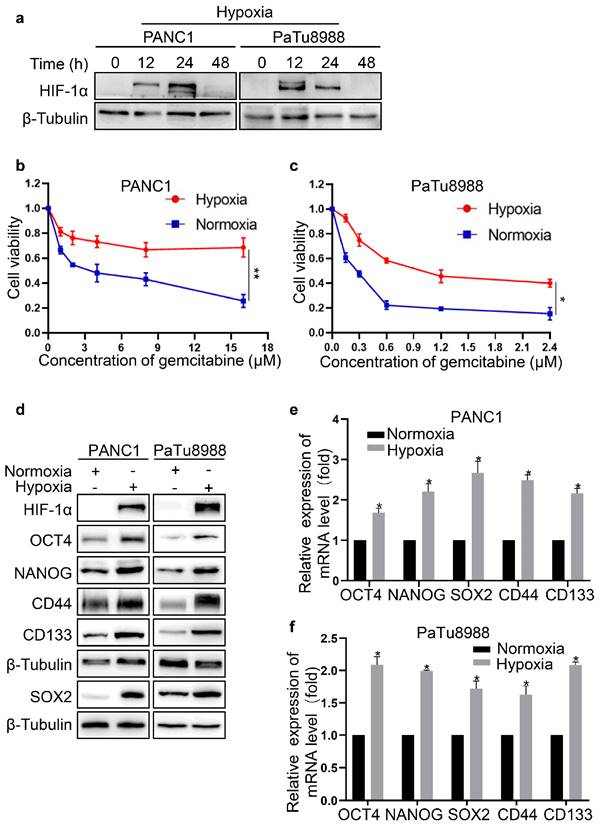 J Cancer Image