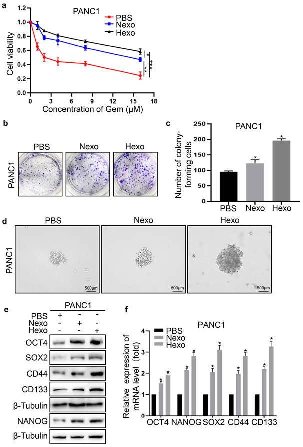 J Cancer Image