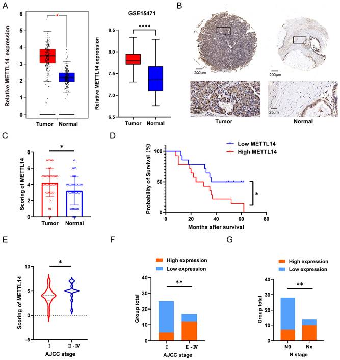 J Cancer Image