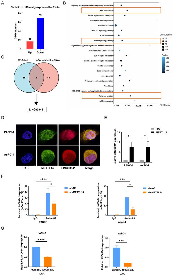 J Cancer Image