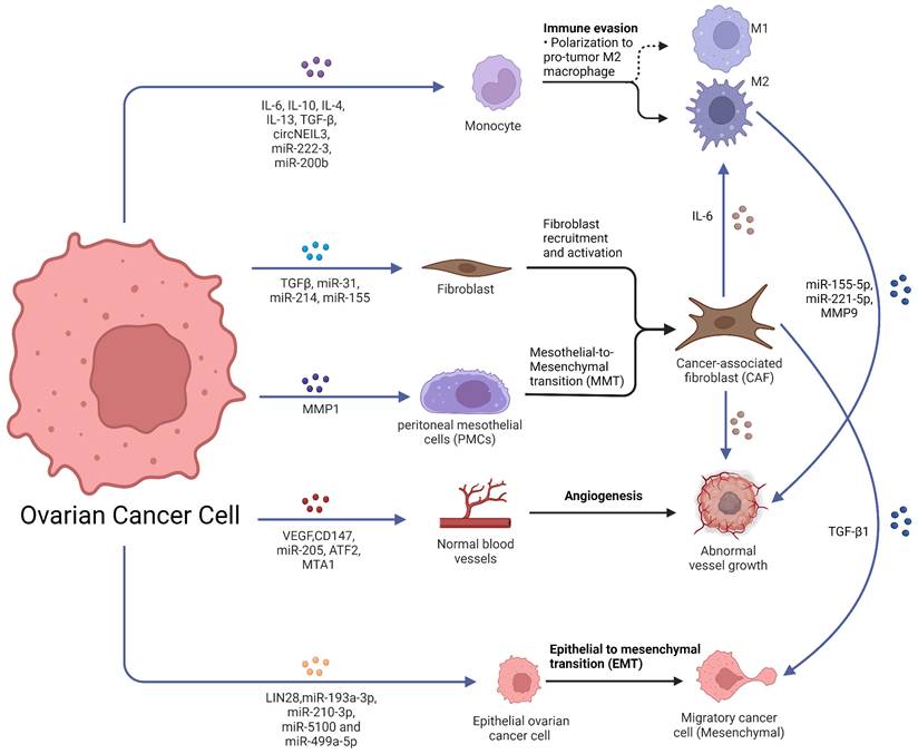 J Cancer Image