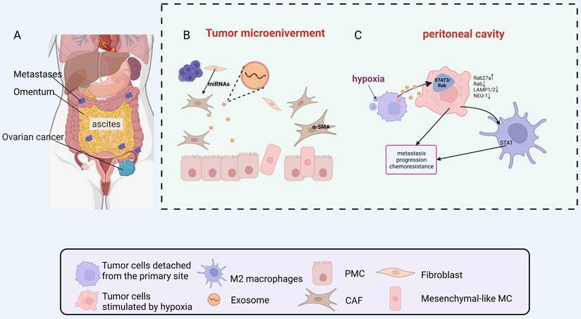 J Cancer Image