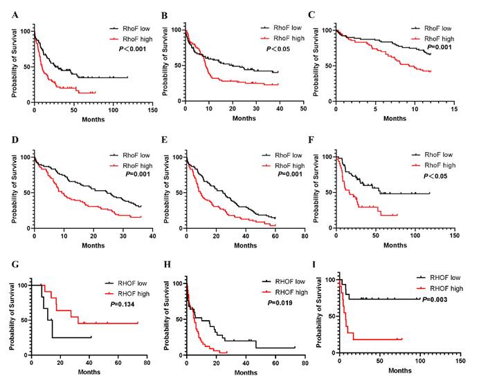 J Cancer Image