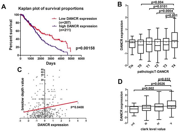 J Cancer Image