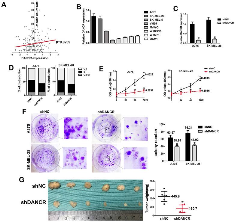 J Cancer Image