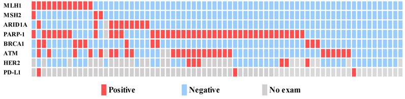 J Cancer Image